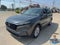 2023 Honda CR-V EX-L w/o BSI