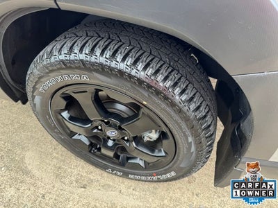 2025 Subaru Forester Wilderness