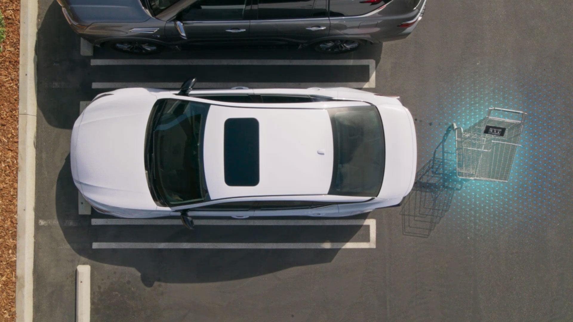 2026 Nissan Altima | Wharton Nissan in Parkersburg, WV